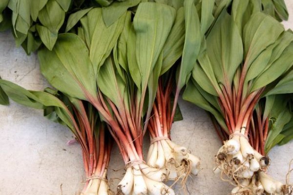 Как зарегаться в кракен