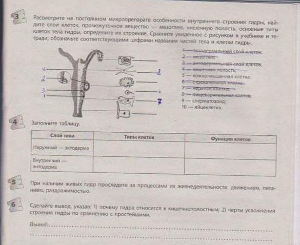 Кракен тор gigageek ru